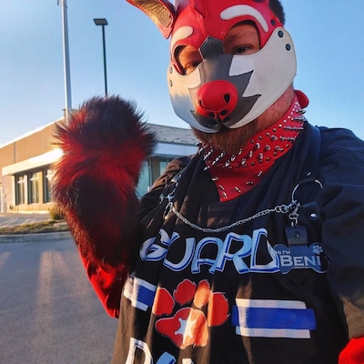 Daytona Dog Pup Hood