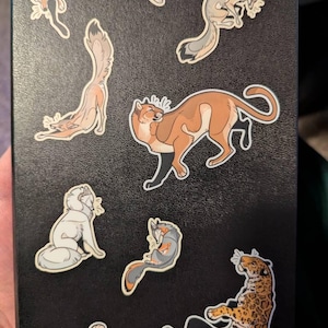 imnotok heeft een foto van zijn/haar aankoop toegevoegd