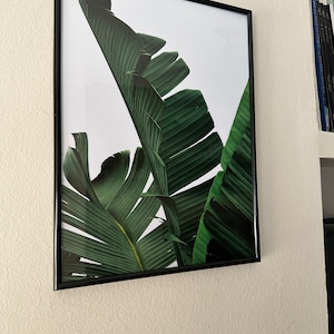 Mario added a photo of their purchase
