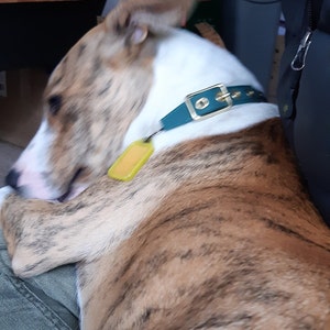 Cassie ha añadido una foto de su compra