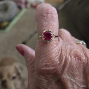 Annitta added a photo of their purchase