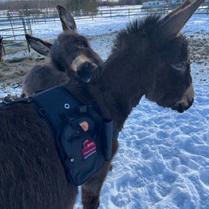 Charlie added a photo of their purchase