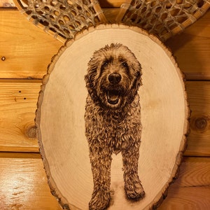 Emily heeft een foto van zijn/haar aankoop toegevoegd