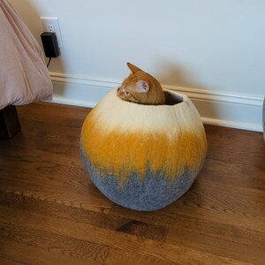 Jenn added a photo of their purchase