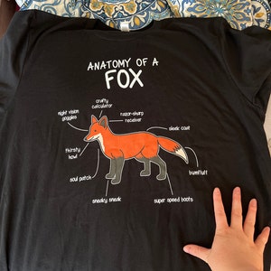Anatomy of a fox gifts foxes red fox' Women's T-Shirt