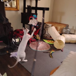 Bryan added a photo of their purchase
