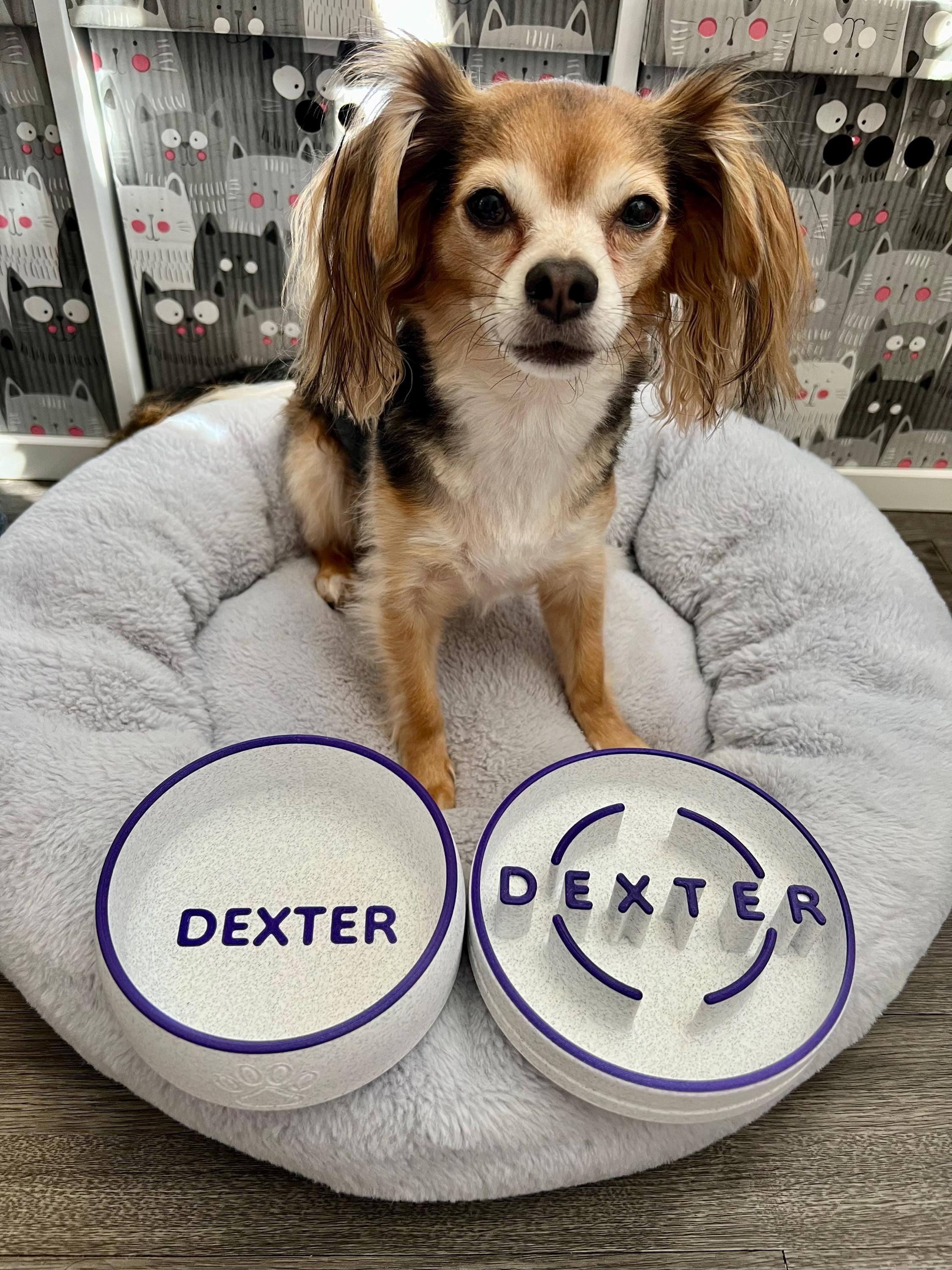 Personalized Dog Bowl with Name