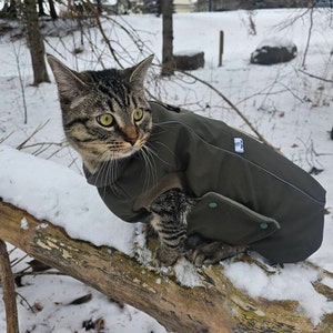 Adventure Cat Jacket: EXTRA WARM Waterproof Windproof Winter Coat