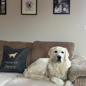 Emily a ajouté une photo de son achat