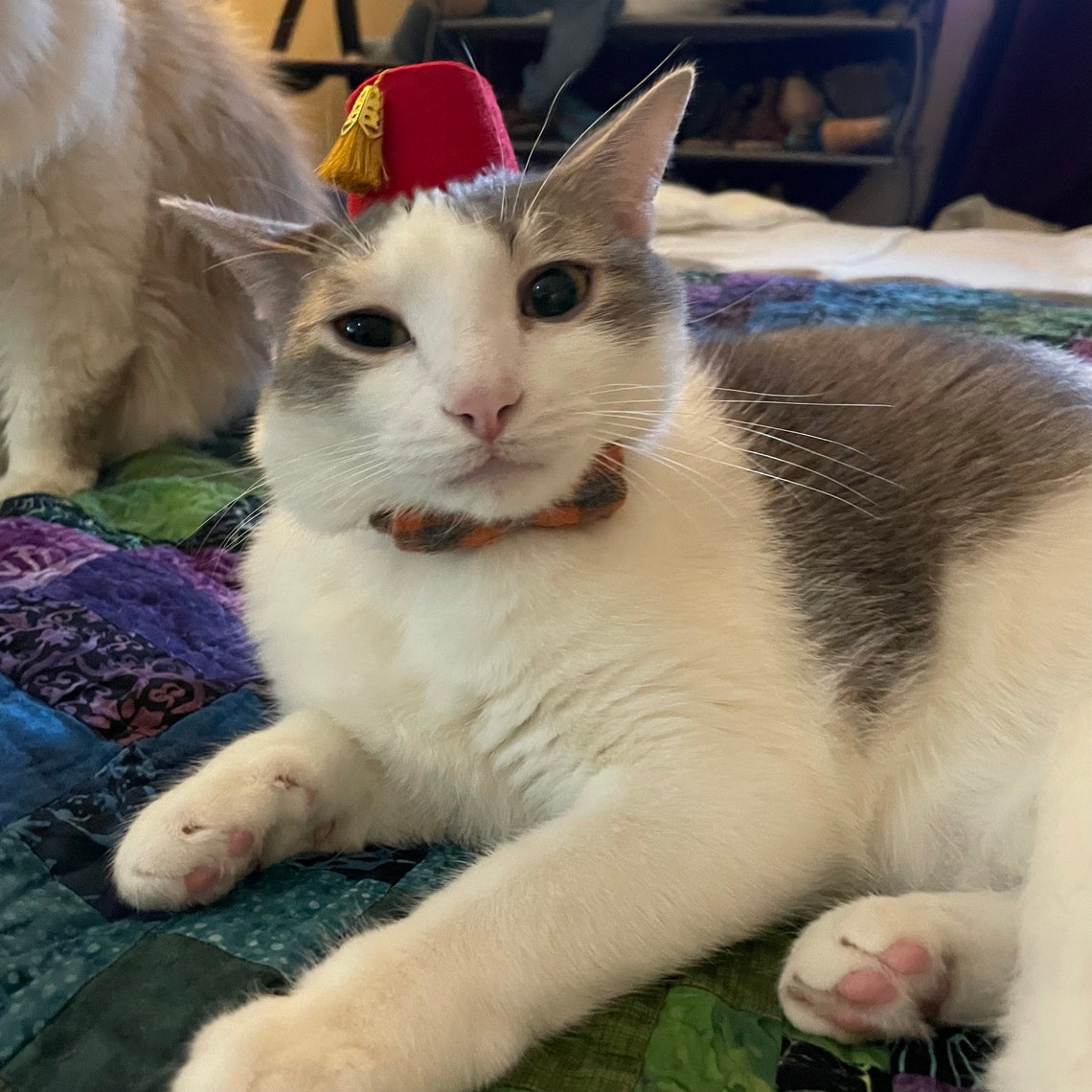 Customer photo of a pet with the Fez Hat mini small pet Cat Dog Hedgehog Vogue