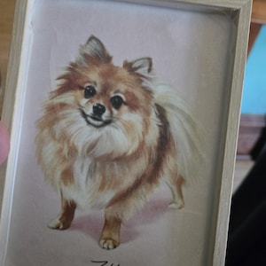 Richell added a photo of their purchase
