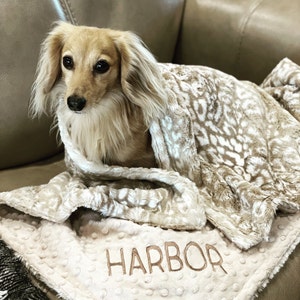 shay added a photo of their purchase