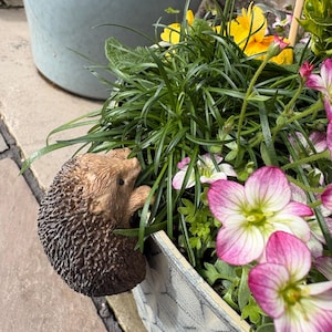 Janet hat ein Foto des gekauften Artikels hinzugefügt