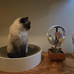Kholoud added a photo of their purchase