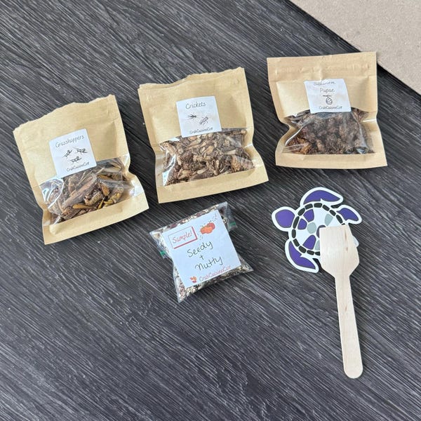 Photo inspiration: Photographs Successful Crickets For Hermit Reference: Crickets Hermit Crab Food Protein