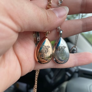 Chantal added a photo of their purchase