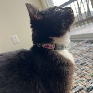 Tessa added a photo of their purchase