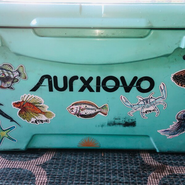 Barracuda Sticker, 10 Inch - Etsy