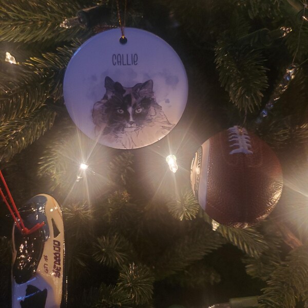 Personalized Pet Memorial Ornament: Engraved Dog Cat Name, Christmas Ornament