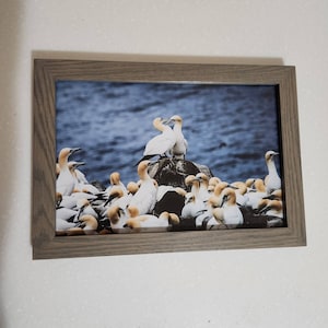 Lindsay added a photo of their purchase