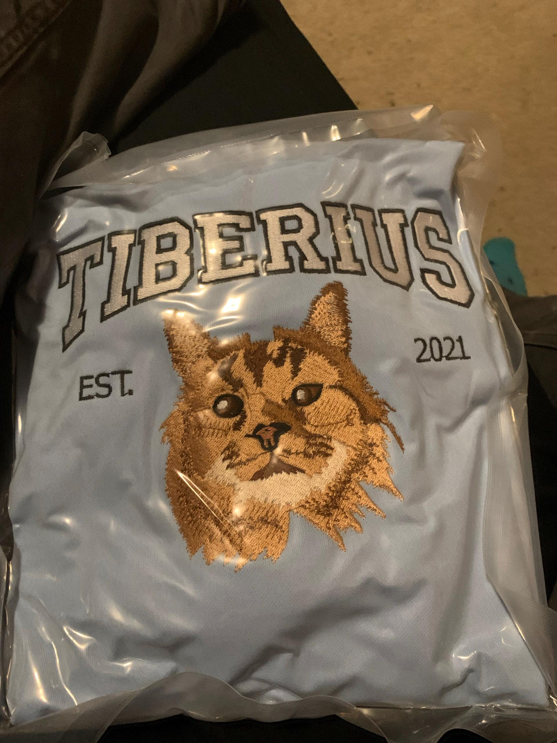 Custom Embroidered Pet From Your Photo T-Shirt, Personalized Cat Sweatshirt, Pet Name Sweatshirt, Cat Mom Gift, Cat Lover Gift, Pet Gift