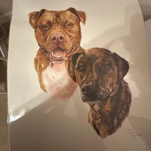Buzz added a photo of their purchase