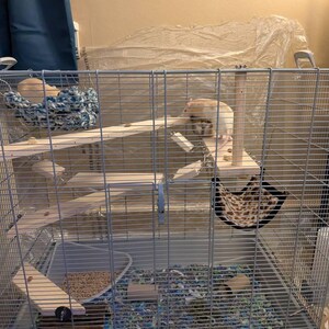 andrew dodał(a) zdjęcie swoich zakupów