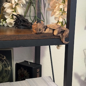 Lori added a photo of their purchase