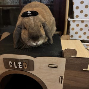 Paula added a photo of their purchase