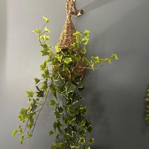 Jeanne dodał(a) zdjęcie swoich zakupów