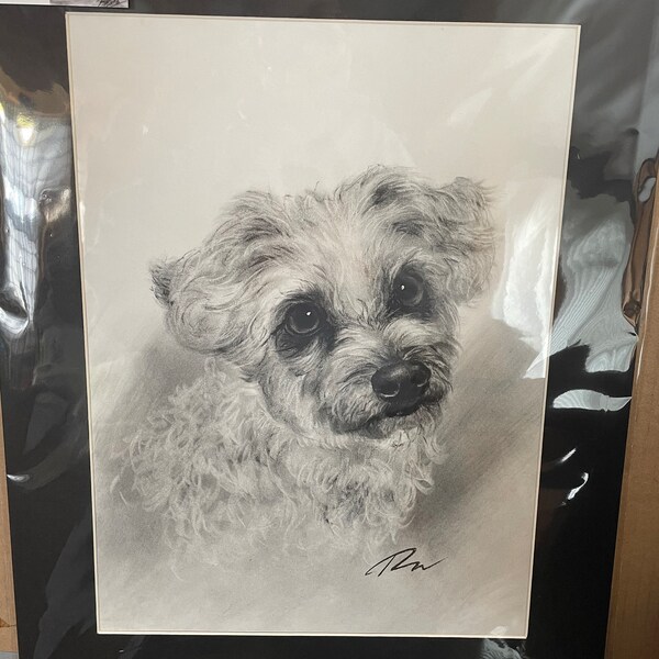 Custom Pet Portraits Using Pet Photo Personalized Hand Drawn Dog ...