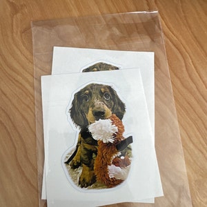 Aaron added a photo of their purchase