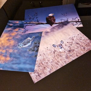 Rūta added a photo of their purchase