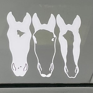 Melissa added a photo of their purchase