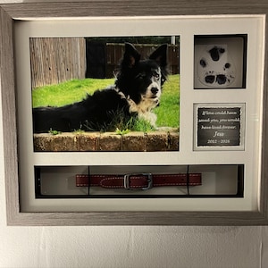 Sarah added a photo of their purchase