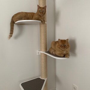 walker watch tower cat scratch post