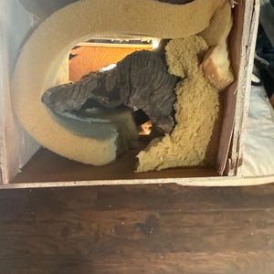 Alie added a photo of their purchase