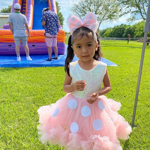 Vestido De Rose Gold Minnie Dress Disfraz De Minnie Mouse Rosa Con Dorado  MercadoLibre