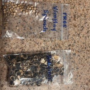 Isabella added a photo of their purchase
