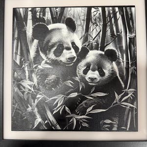 Travlin' ha añadido una foto de su compra