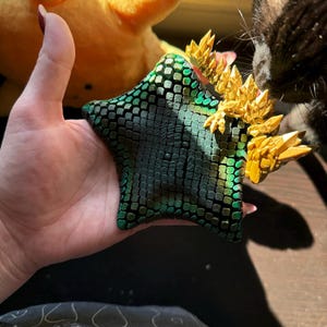 Maddy added a photo of their purchase