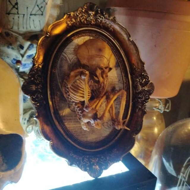 Human Baby Skeleton Fetus 3D Printed on Vintage Victorian Frame