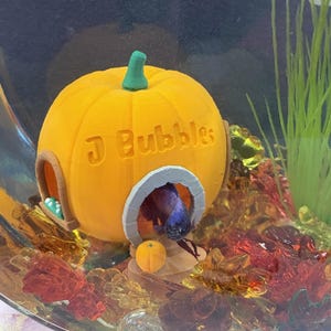 Candice added a photo of their purchase