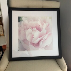 Caralyn added a photo of their purchase
