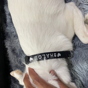 M added a photo of their purchase
