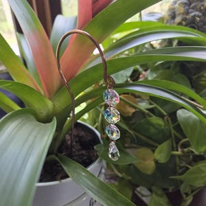 Becky added a photo of their purchase