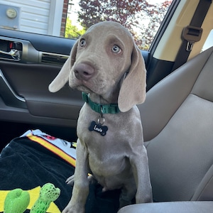 Jennifer added a photo of their purchase