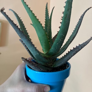 Jennifer added a photo of their purchase