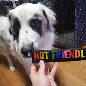 Lindsay added a photo of their purchase