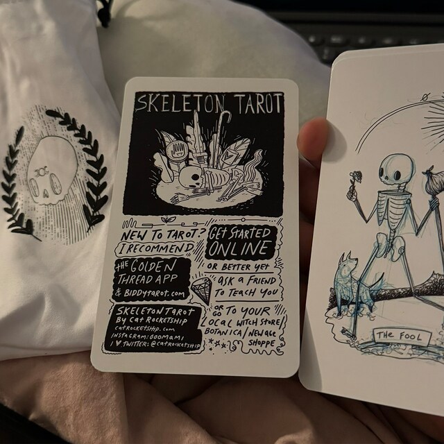 The Skeleton Tarot Deck, Indie Tarot, Hand Drawn Tarot